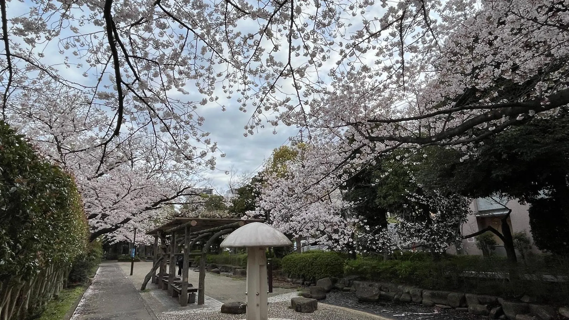 شقة 松島雅居 طوكيو
